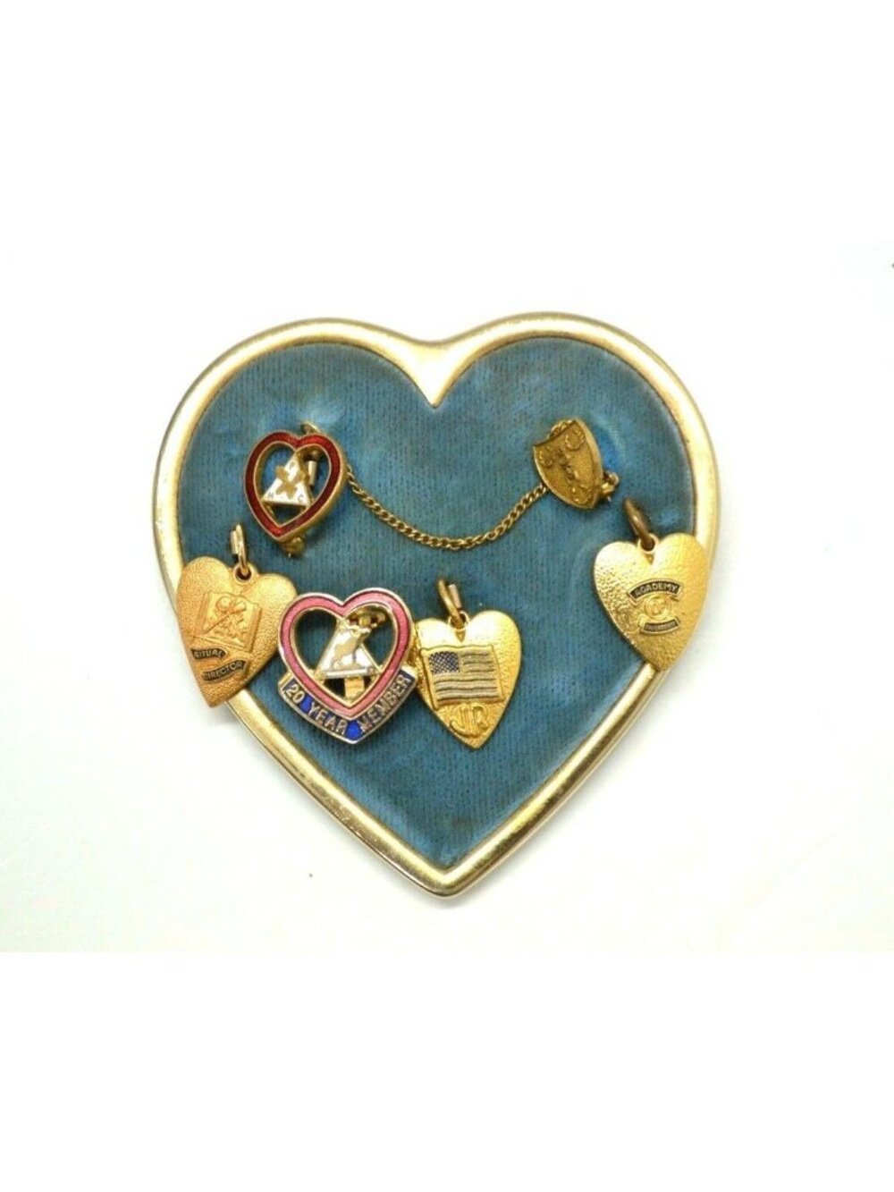 Vtg Fraternity Order Moose Pins Ritual Director 20 Year Friendship Lapel Badge